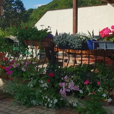 Limpedea Green House Baia Mare Exterior photo