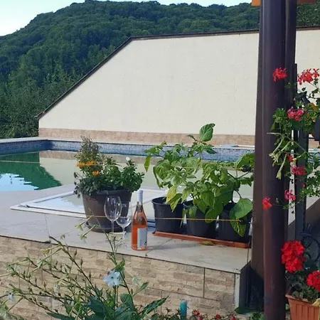 Limpedea Green House Baia Mare Exterior photo