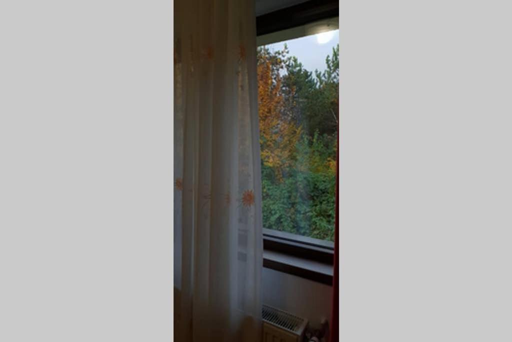 Limpedea House * Baia Mare