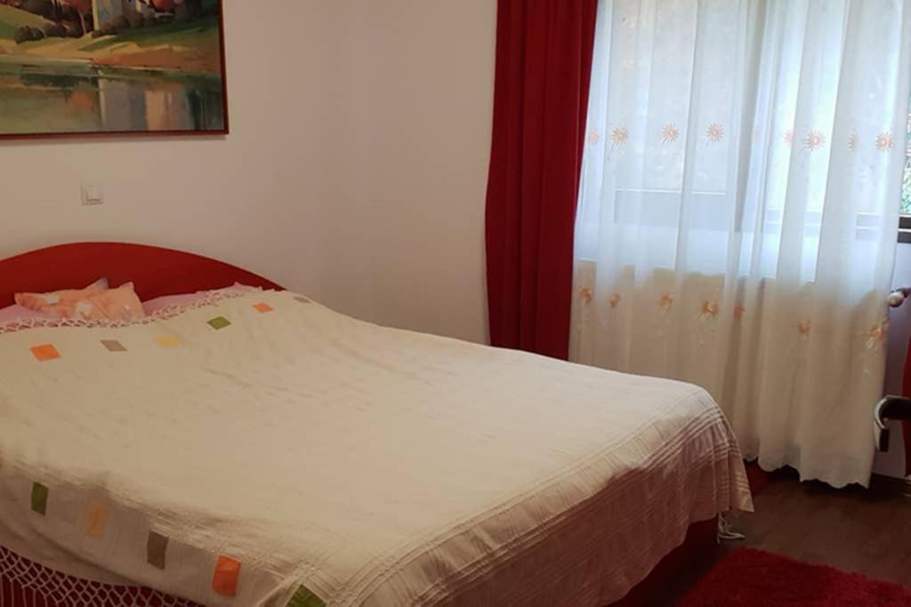 Appartement Limpedea House Baia Mare
