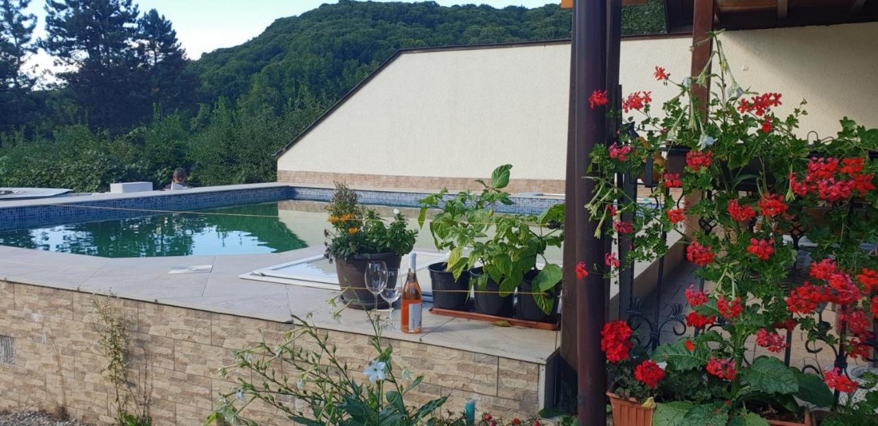 Limpedea House Appartement