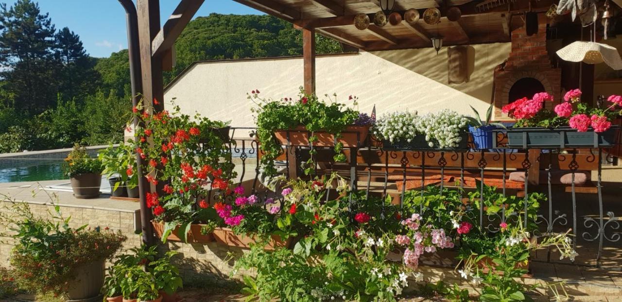 Appartement Limpedea House Baia Mare